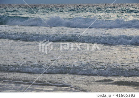 マレーシア・レダン島 41605392