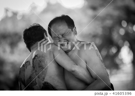 Sumo wrestling 41605396