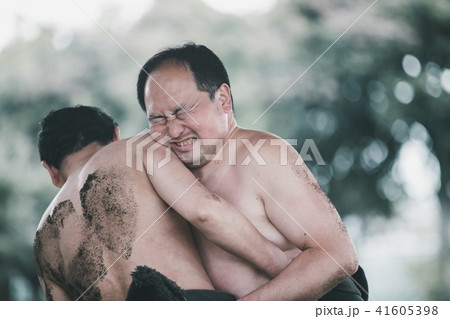 Sumo wrestling 41605398