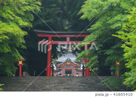霧島神宮 41605410