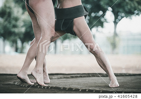 Sumo wrestling 41605428