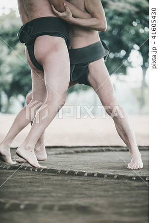 Sumo wrestling Sumo wrestling 41605430