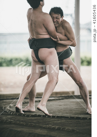Sumo wrestling Sumo wrestling 41605436