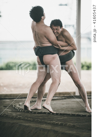 Sumo wrestling Sumo wrestling 41605437
