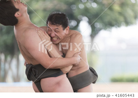 Sumo wrestling 41605443