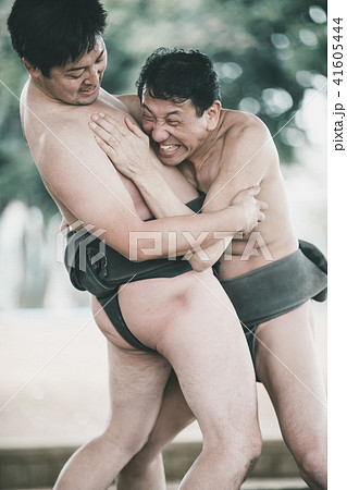 Sumo wrestling 41605444