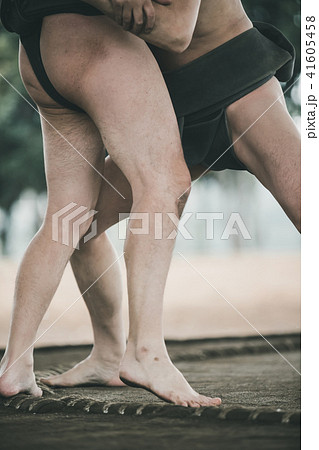 Sumo wrestling 41605458