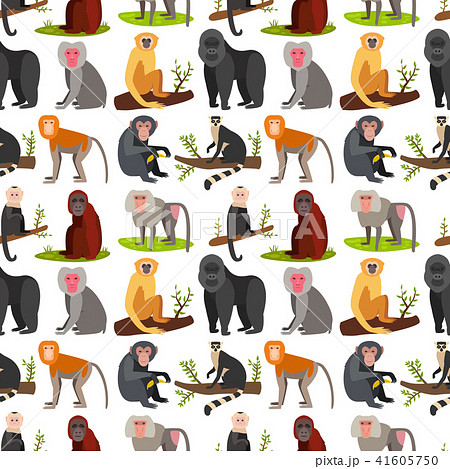 Monkey character animal breads seamless pattern background wild zoo ape chimpanzee vector Monkey character animal breads seamless pattern background wild zoo ape chimpanzee vector 41605750