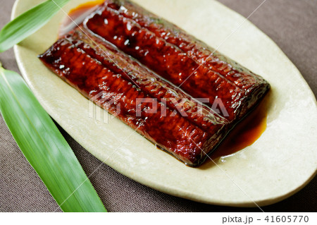 うなかまの写真素材