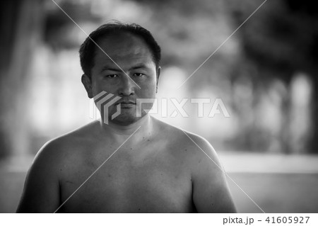 Sumo wrestling 41605927