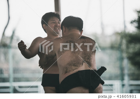 Sumo wrestling 41605931