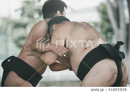 Sumo wrestling 41605936