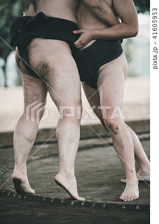 Sumo wrestling Sumo wrestling 41605953