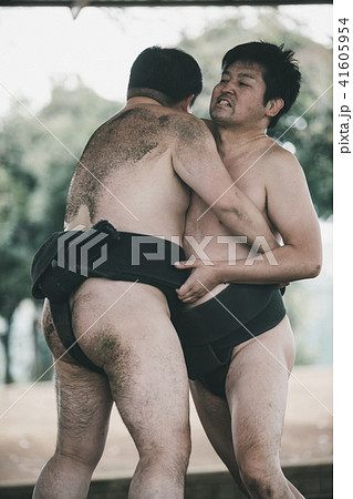 Sumo wrestling 41605954