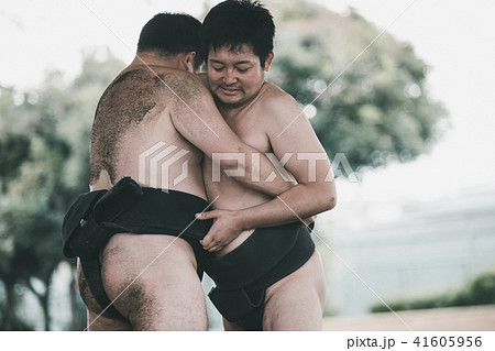 Sumo wrestling 41605956