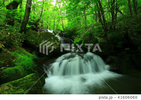 遠野 夏の一の滝 遠野 夏の一の滝 41606060