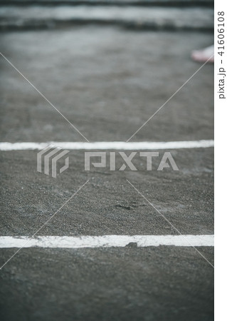 Sumo wrestling 41606108