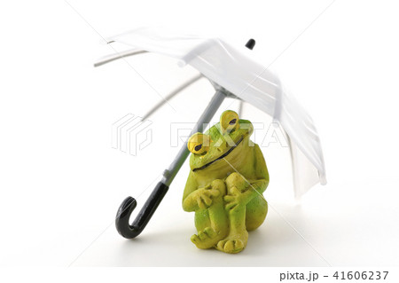 雨・・・上がってますか? 雨・・・上がってますか? 41606237