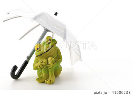 雨・・・上がってますか? 雨・・・上がってますか? 41606238