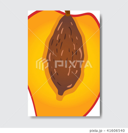 cut peach template card, slice fresh fruit poster on white background, magazine cover vertical cut peach template card, slice fresh fruit poster on white background, magazine cover vertical 41606540