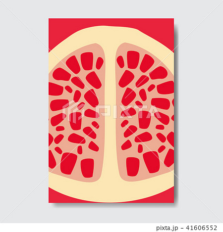 cut garnet template card, slice fresh fruit poster on white background, magazine cover vertical 41606552