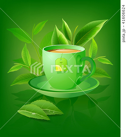 Green tea leaves vector nature background. 41606624
