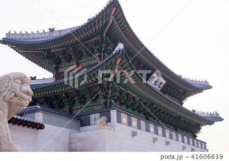 こうかもん 41606639