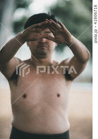 Sumo wrestling 41606716