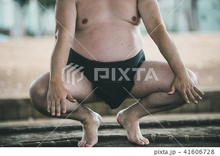 Sumo wrestling 41606728