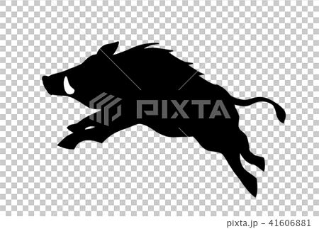亥年年賀素材　シルエット　駆けるイノシシ 41606881