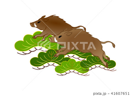 亥年年賀素材　松と駆けるイノシシ 41607651