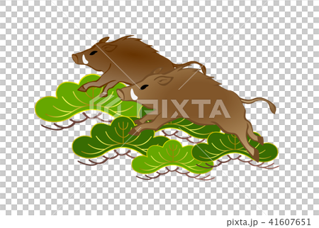 亥年年賀素材　松と駆けるイノシシ 41607651