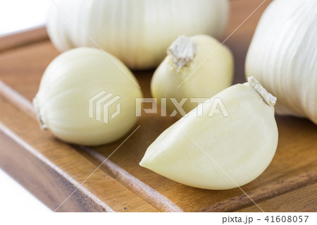 ニンニク ニンニク 41608057