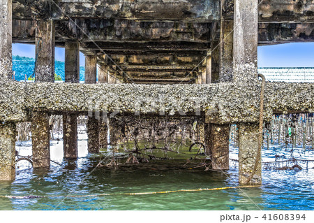 under pier in fishing village 41608394