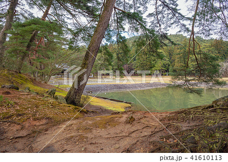 毛越寺庭園 毛越寺庭園 41610113