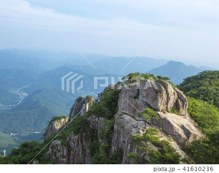 完州郡 全北 夜景 41610236