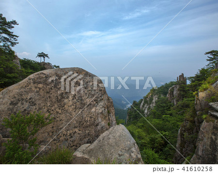 完州郡 全北 夜景 41610258