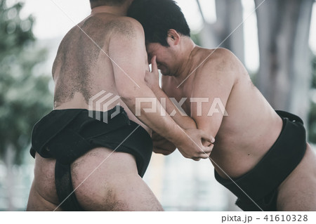 Sumo wrestling Sumo wrestling 41610328