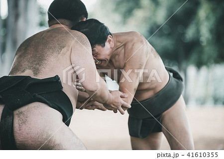 Sumo wrestling Sumo wrestling 41610355
