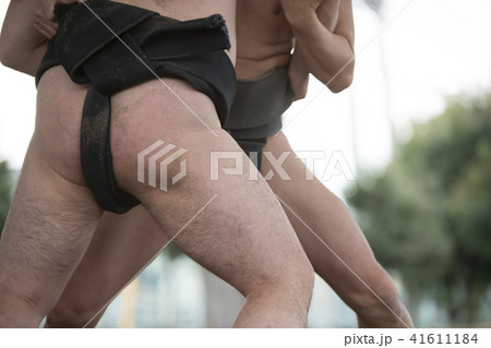 Sumo wrestling 41611184