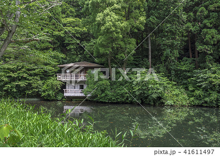 散在ケ池（鎌倉湖　鎌倉市今泉台） 41611497