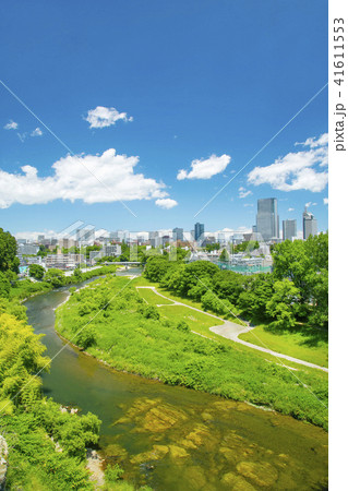 仙台市全景　仙台市　ビル群 41611553