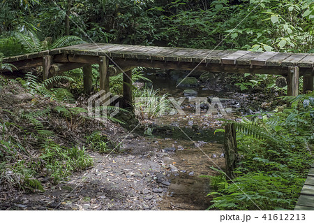 散在ケ池森林公園のせせらぎの小径 鎌倉市今泉台 の写真素材