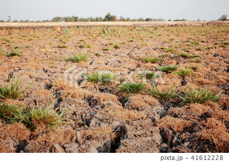 arid soil in the countryside. arid soil in the countryside. 41612228