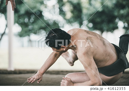 Sumo wrestling 41612355