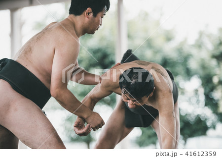 Sumo wrestling 41612359