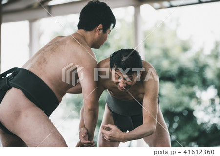 Sumo wrestling 41612360