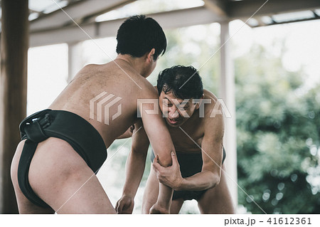 Sumo wrestling 41612361