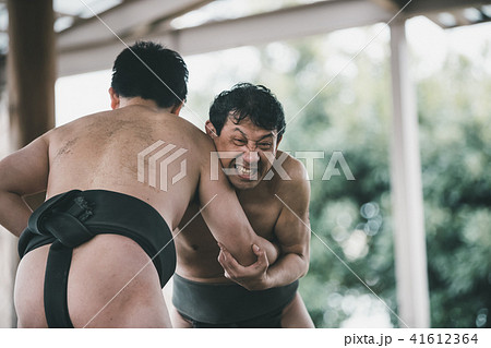 Sumo wrestling 41612364