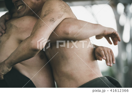 Sumo wrestling 41612366